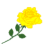 yello rose.gif (1526 bytes)